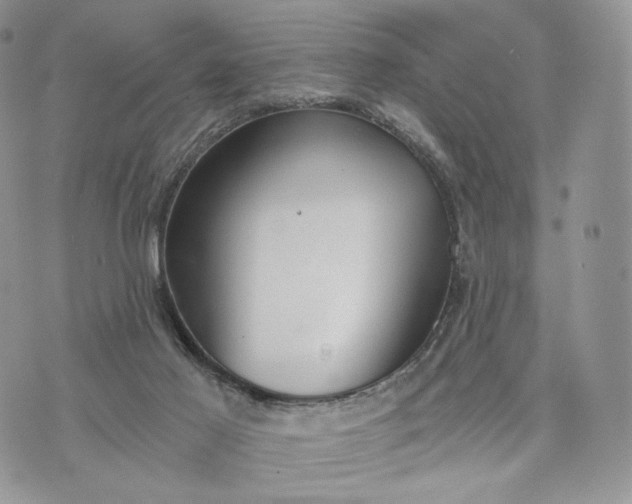 X0000072960021200608111702