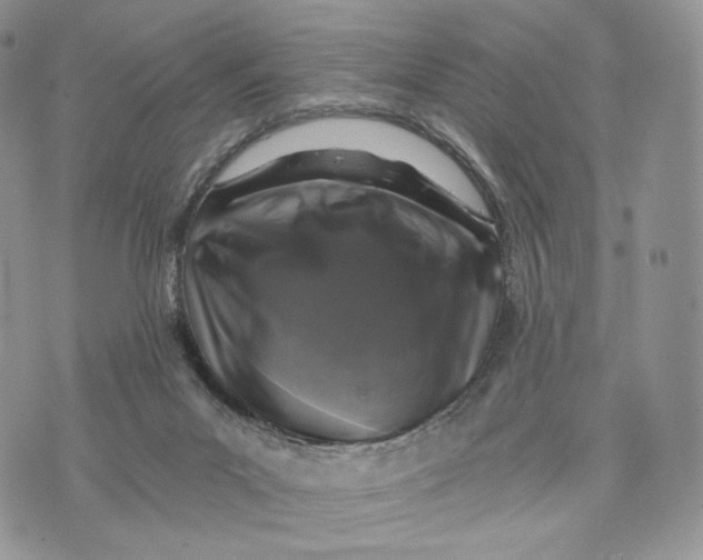 X0000072960023200608111702