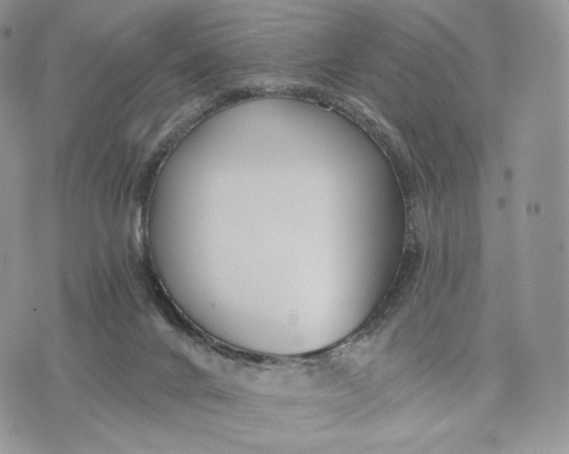 X0000072960024200608111702