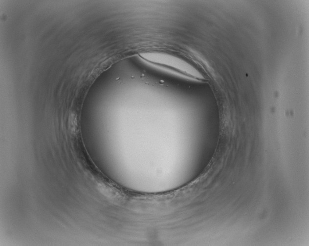 X0000072960025200608111702