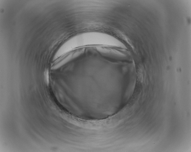 X0000072960027200608111702