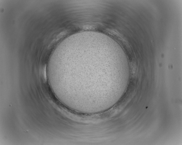 X0000072960028200608111702