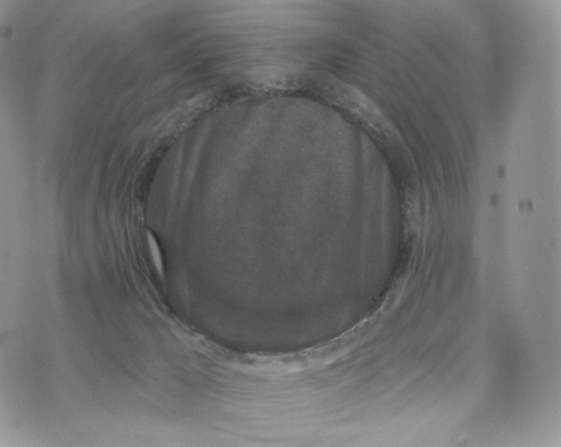 X0000072960029200608111702