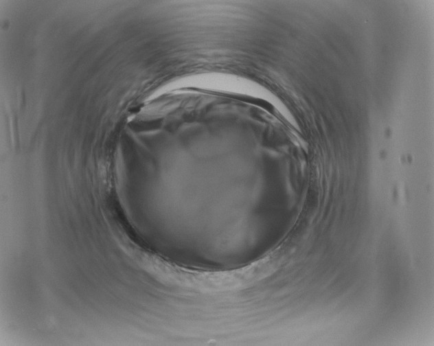 X0000072960031200608111702