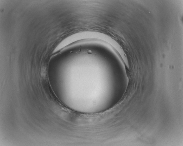 X0000072960033200608111702