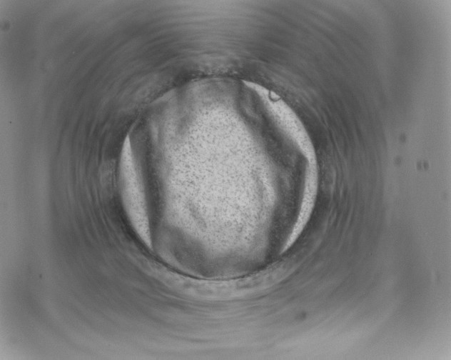 X0000072960034200608111702