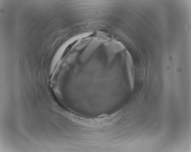 X0000072960035200608111702