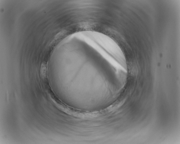 X0000072960036200608111702