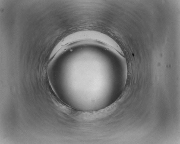 X0000072960037200608111702