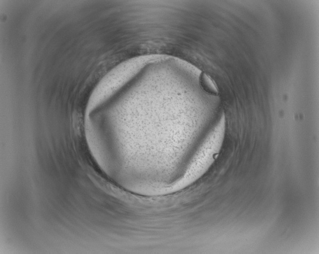 X0000072960038200608111702