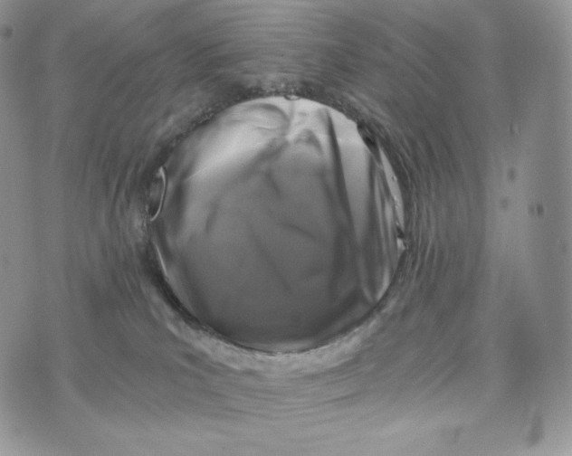 X0000072960039200608111702