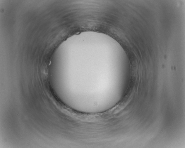 X0000072960040200608111702