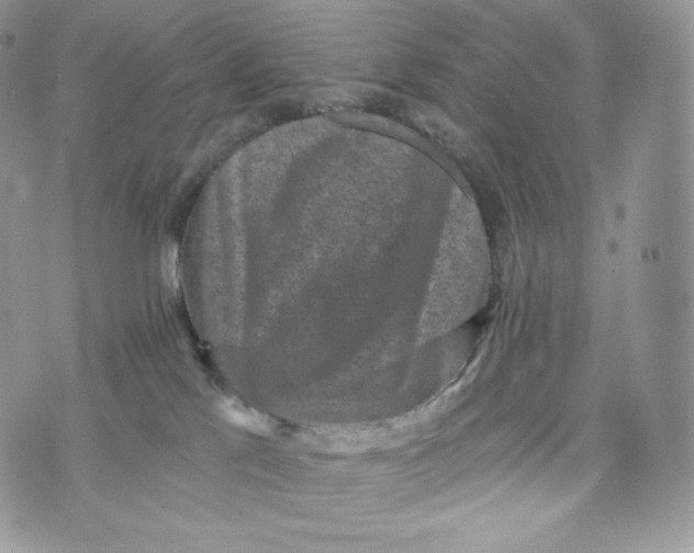 X0000072960041200608111702