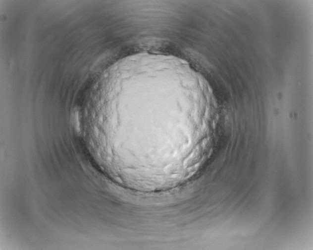 X0000072960042200608111702