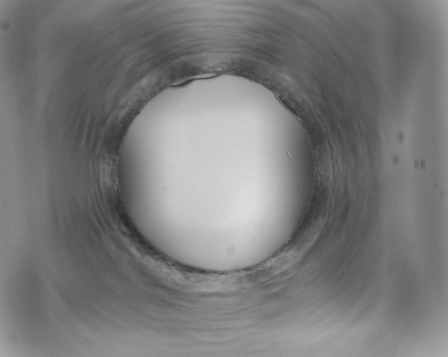 X0000072960044200608111702