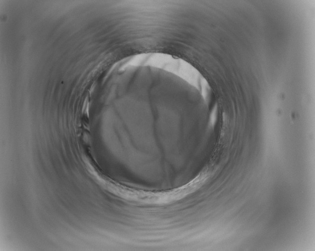 X0000072960048200608111702