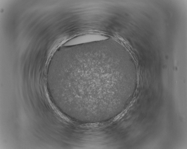 X0000072960049200608111701