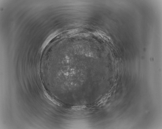 X0000072960051200608111701