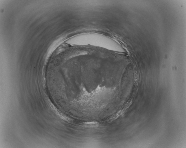 X0000072960053200608111701