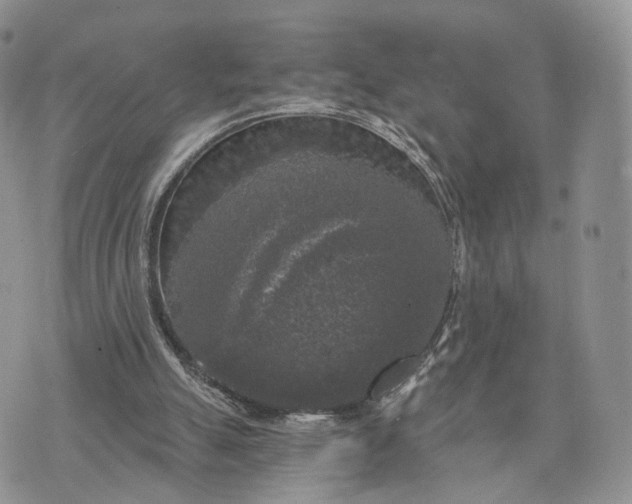 X0000072960055200608111701