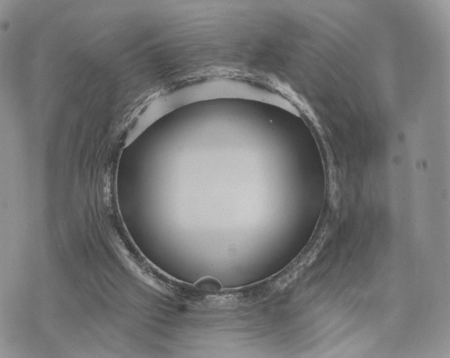 X0000072960057200608111701