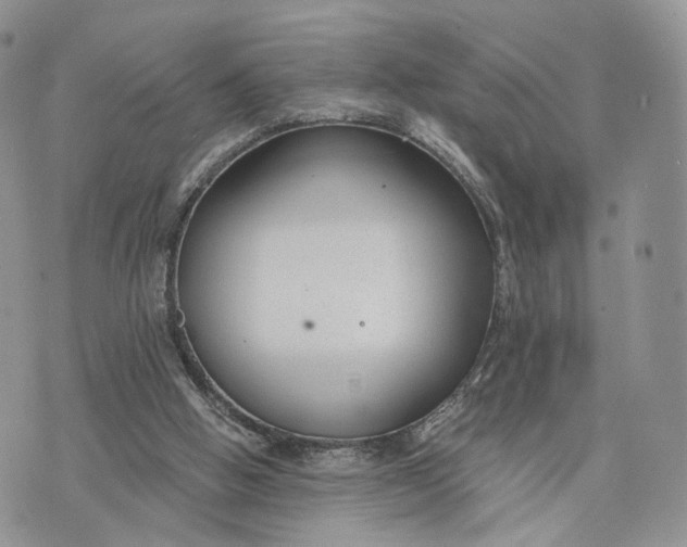 X0000072960058200608111701