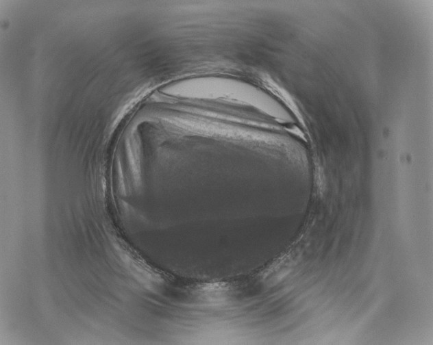 X0000072960059200608111701