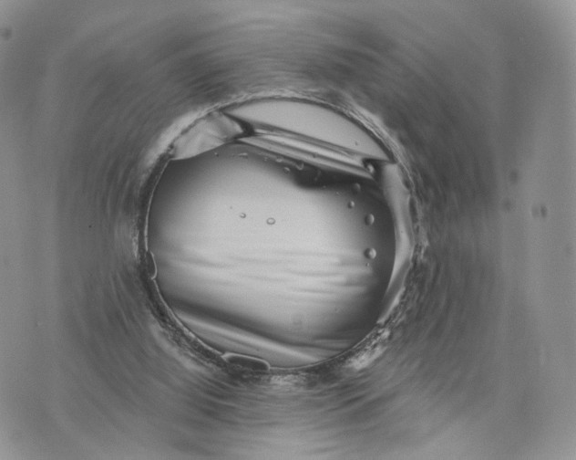 X0000072960060200608111701