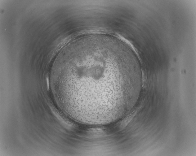 X0000072960061200608111701