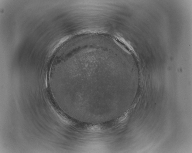 X0000072960062200608111701