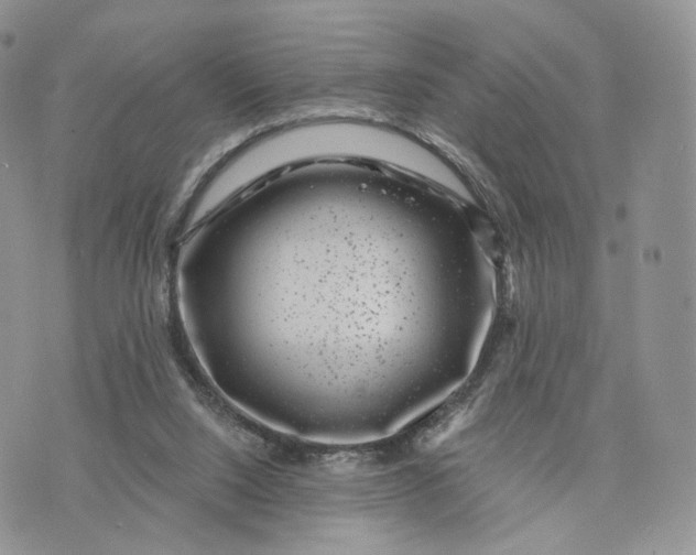 X0000072960064200608111701