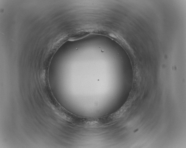 X0000072960066200608111701