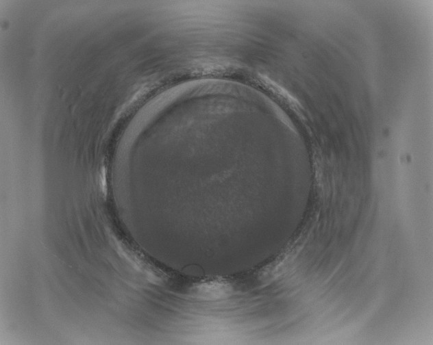 X0000072960067200608111701