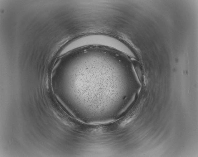 X0000072960068200608111701