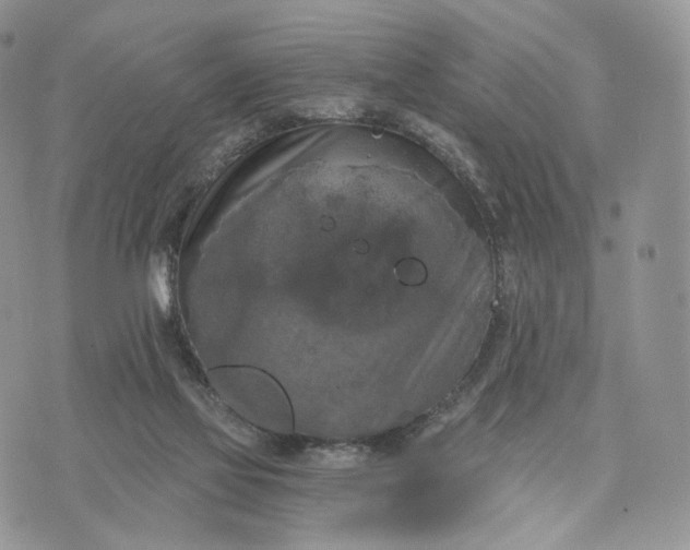 X0000072960069200608111701