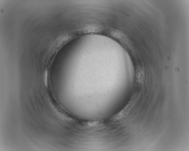 X0000072960070200608111701