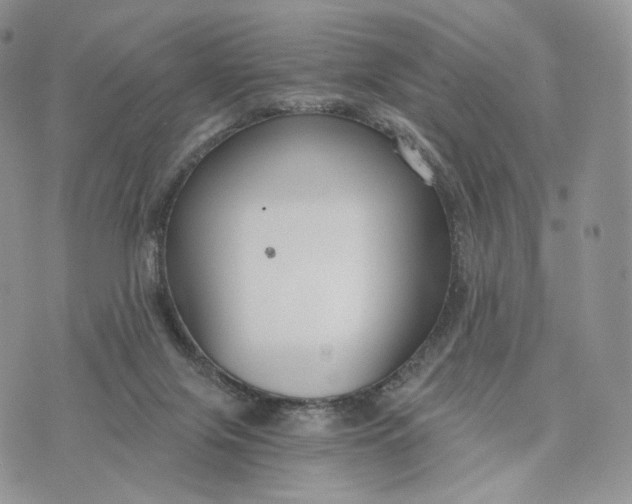 X0000072960071200608111701