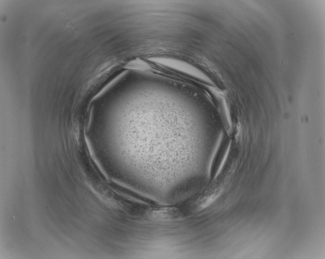 X0000072960072200608111701