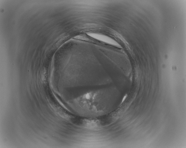 X0000072960073200608111701