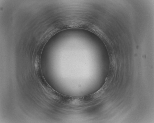 X0000072960074200608111701