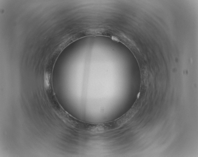 X0000072960075200608111701