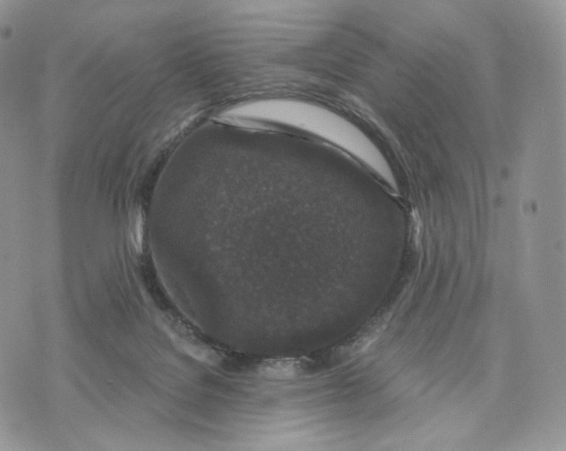 X0000072960076200608111701