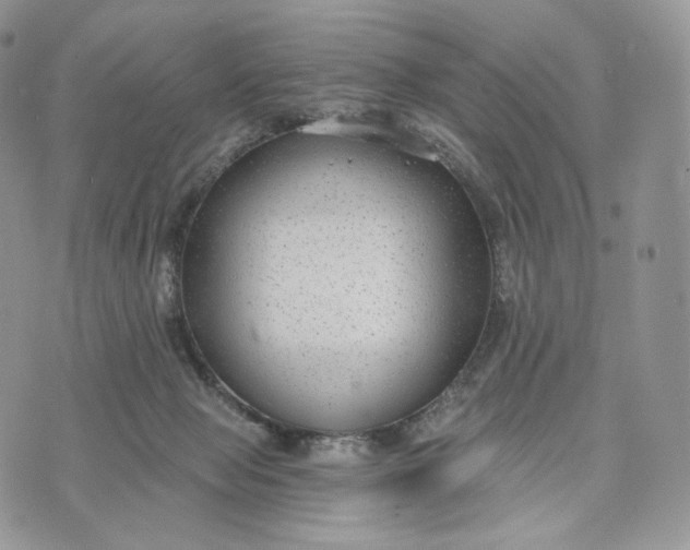 X0000072960077200608111701