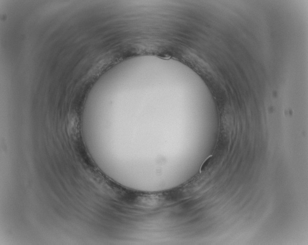 X0000072960079200608111701