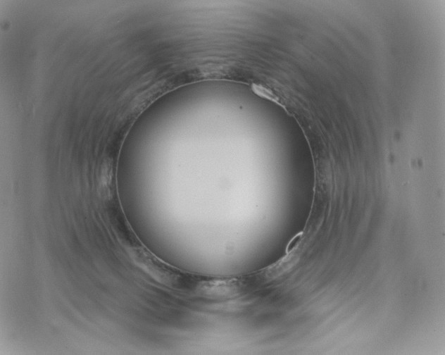 X0000072960082200608111701