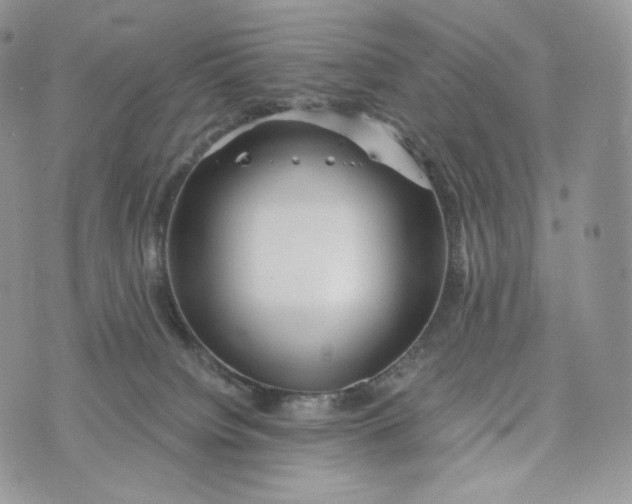 X0000072960084200608111701