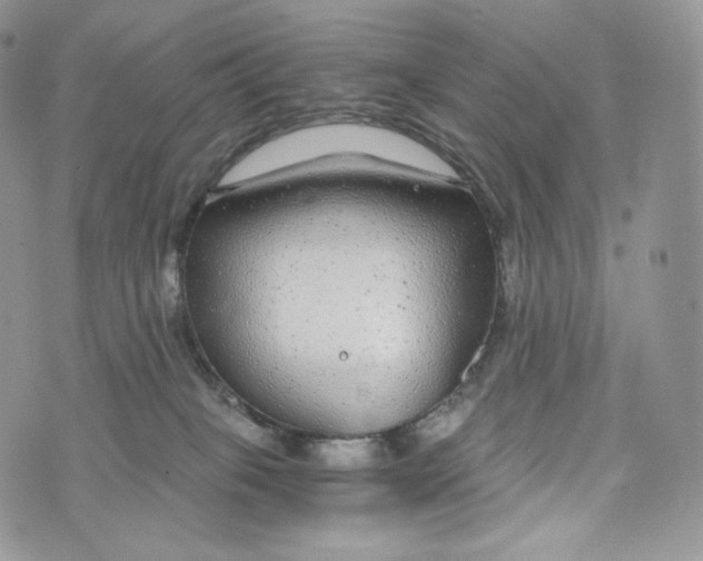 X0000072960085200608111701