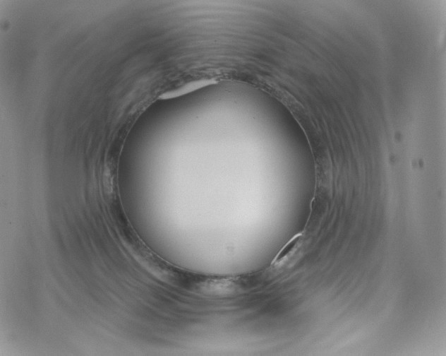 X0000072960086200608111701