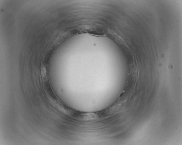 X0000072960087200608111701