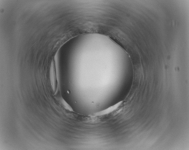 X0000072960088200608111701